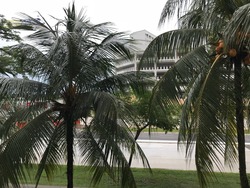 Blk 392 Yishun Avenue 6 (Yishun), HDB Executive #173299872